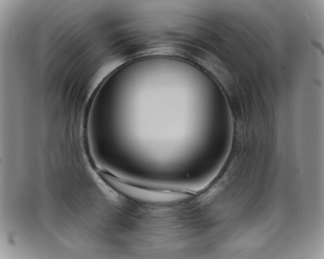 X0000098211426200804241310