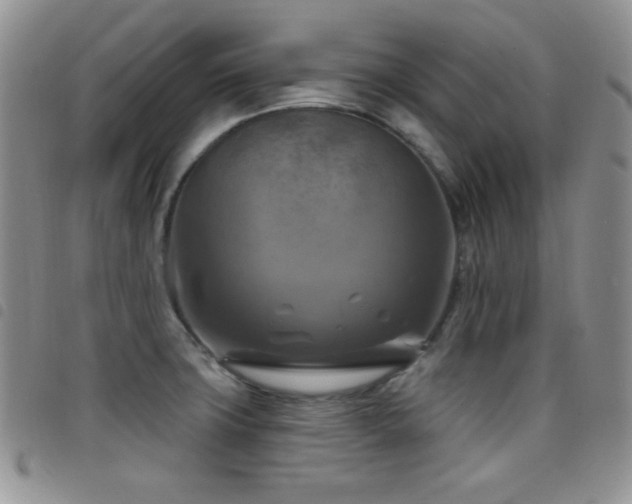 X0000098211427200804241310