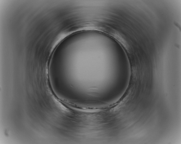 X0000098211428200804241310