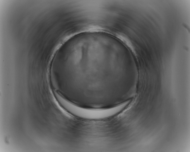 X0000098211429200804241310