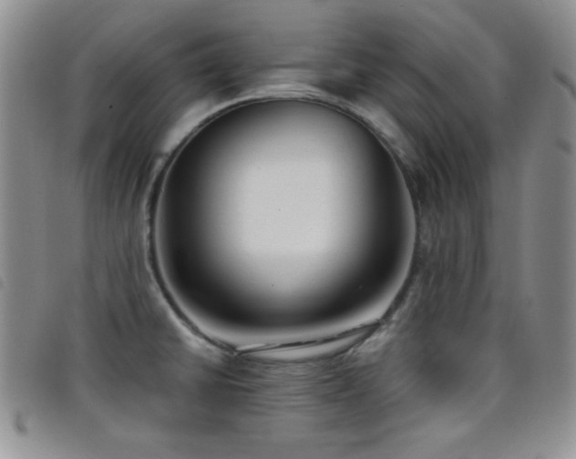 X0000098211430200804241310