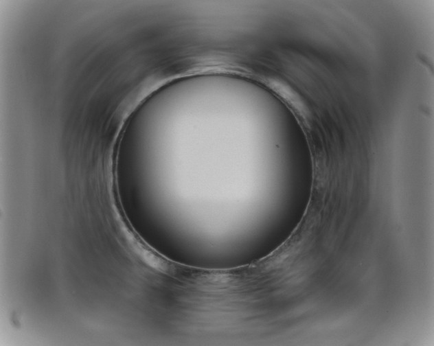 X0000098211431200804241310
