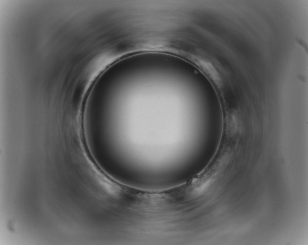 X0000098211432200804241310