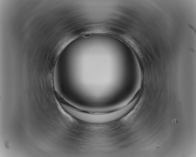 X0000098211433200804241310
