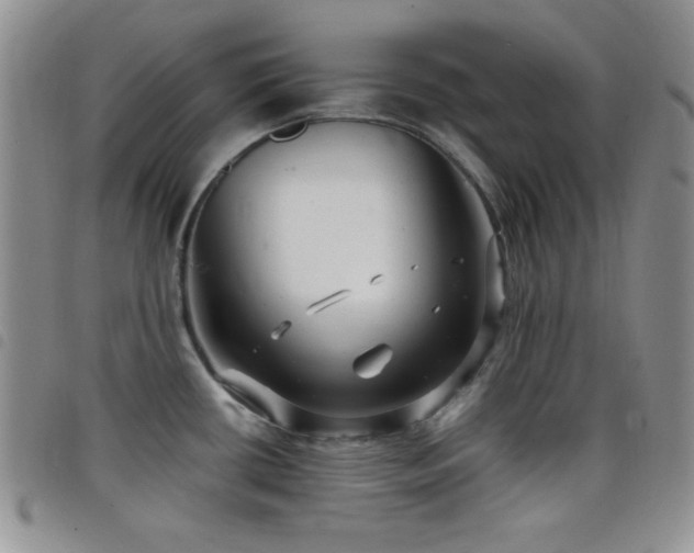 X0000098211434200804241310