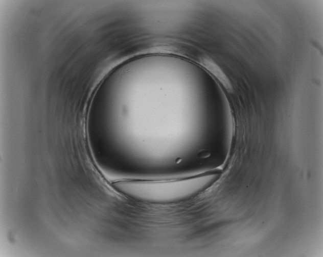 X0000098211436200804241310