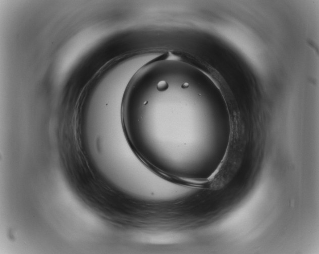 X0000098211438200804241310