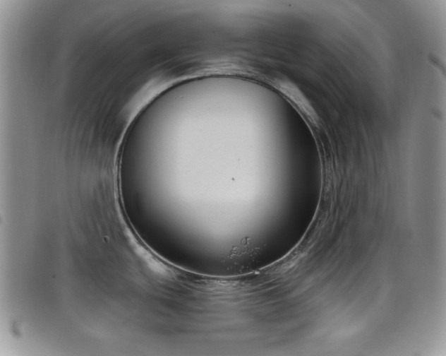 X0000098211439200804241310
