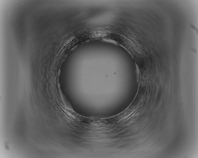 X0000098211441200804241310