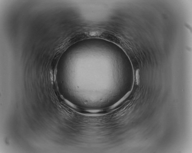 X0000098211443200804241310