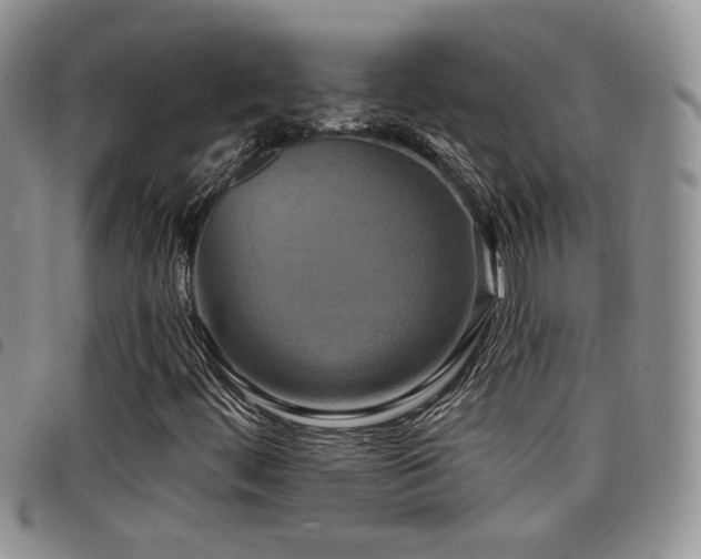 X0000098211444200804241310