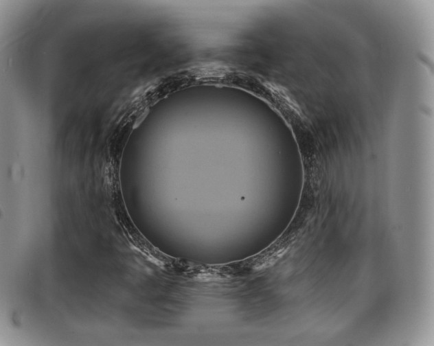 X0000098211445200804241310