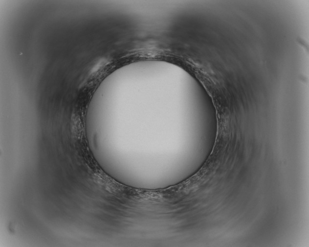 X0000098211446200804241310