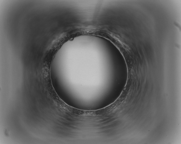 X0000098211447200804241309