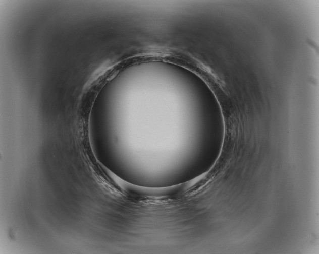 X0000098211448200804241309