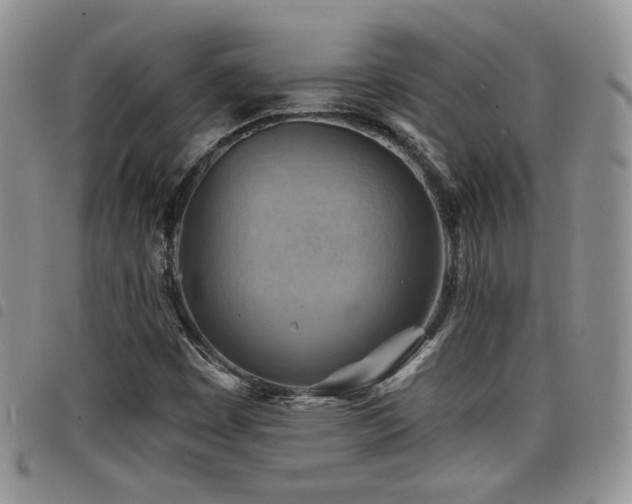 X0000098211449200804241309