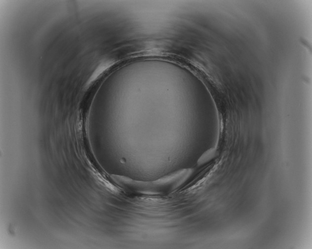 X0000098211450200804241309