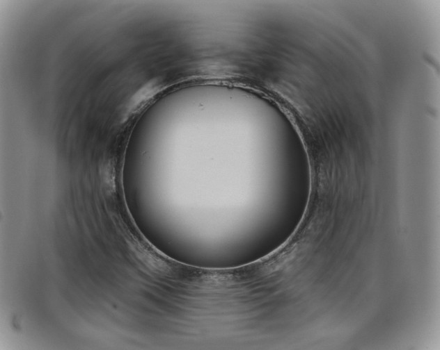 X0000098211451200804241309