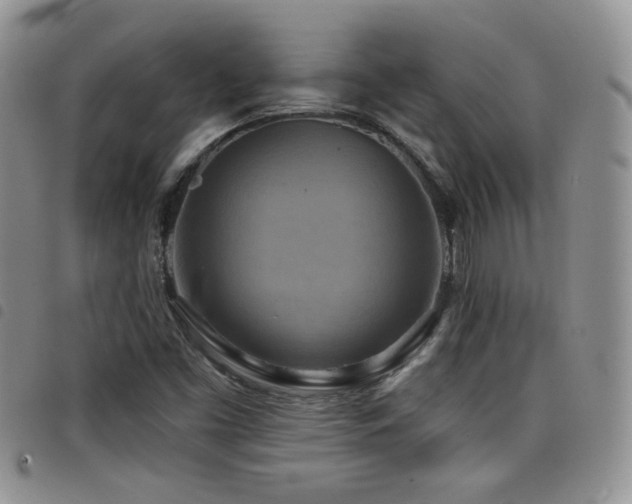 X0000098211453200804241309