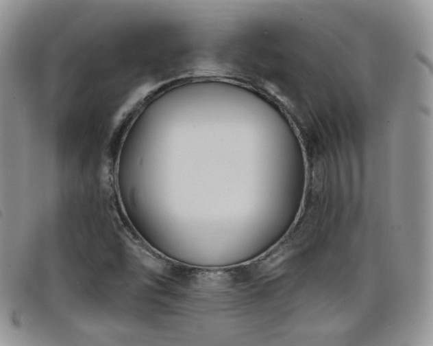 X0000098211454200804241309
