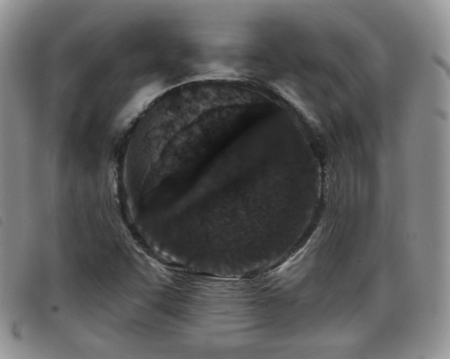 X0000098211455200804241309