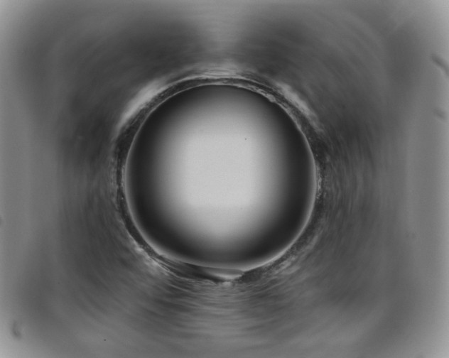 X0000098211456200804241309