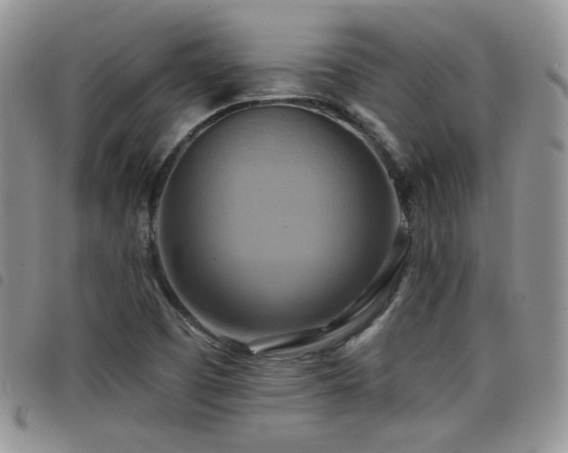 X0000098211457200804241309