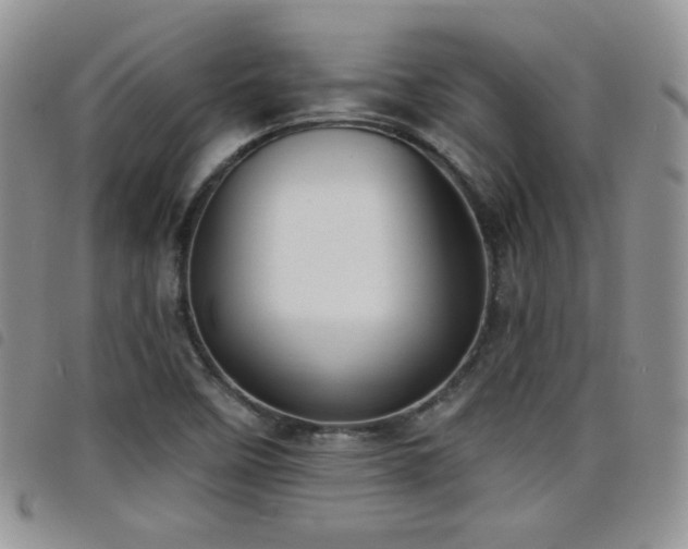 X0000098211458200804241309