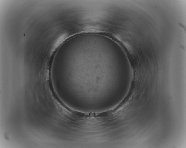 X0000098211459200804241309