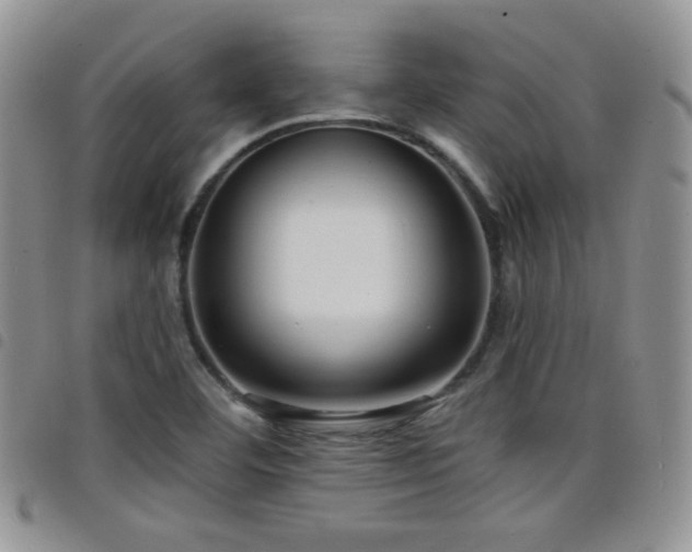 X0000098211460200804241309