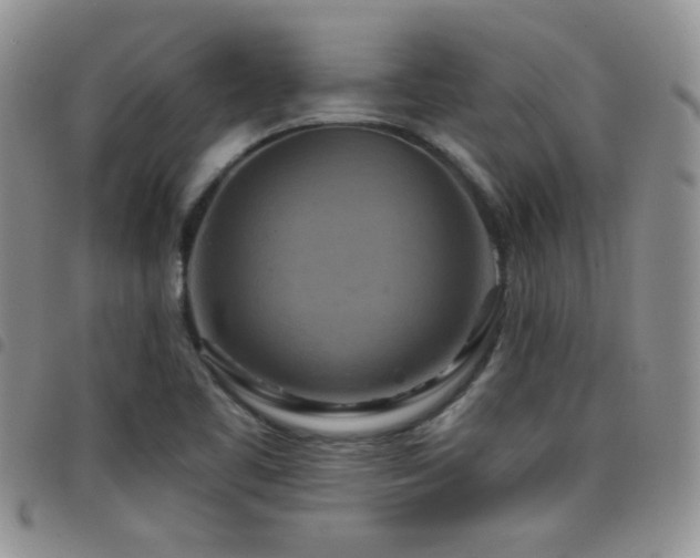 X0000098211461200804241309