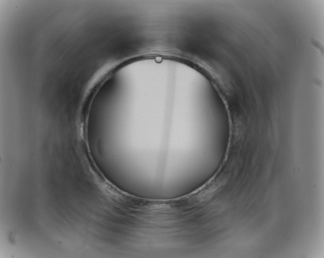 X0000098211462200804241309
