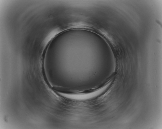 X0000098211463200804241309