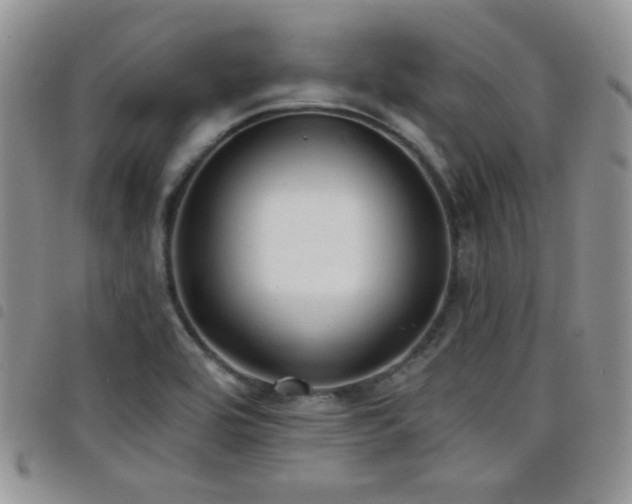 X0000098211464200804241309
