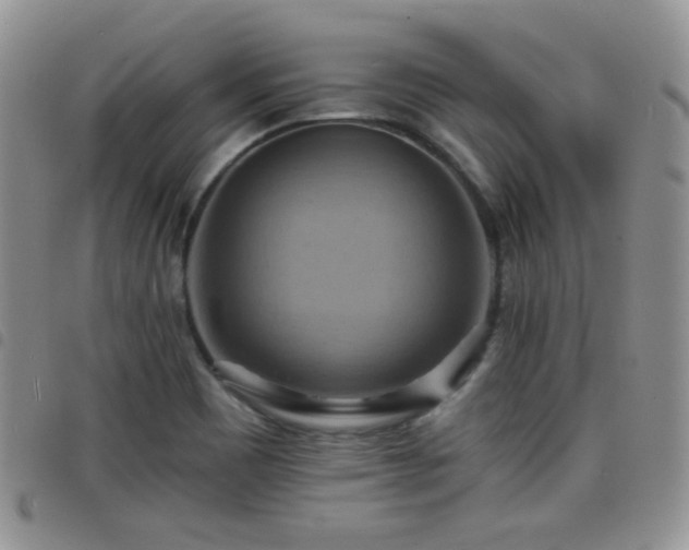 X0000098211465200804241309