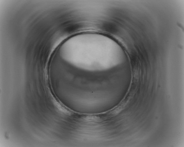 X0000098211466200804241309