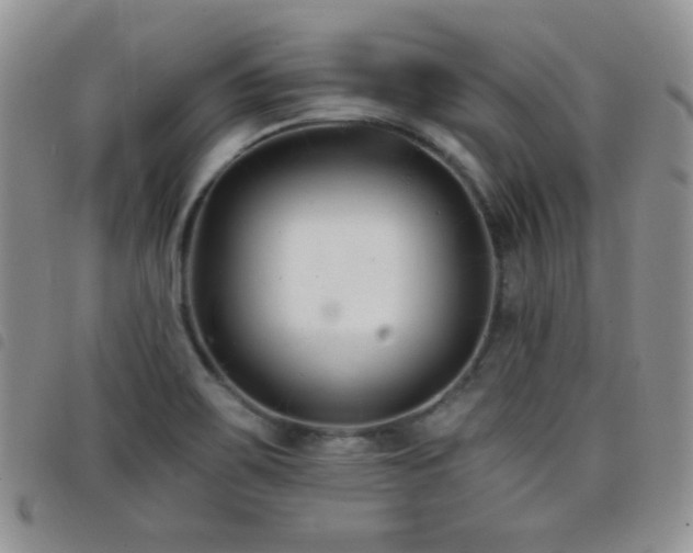 X0000098211467200804241309