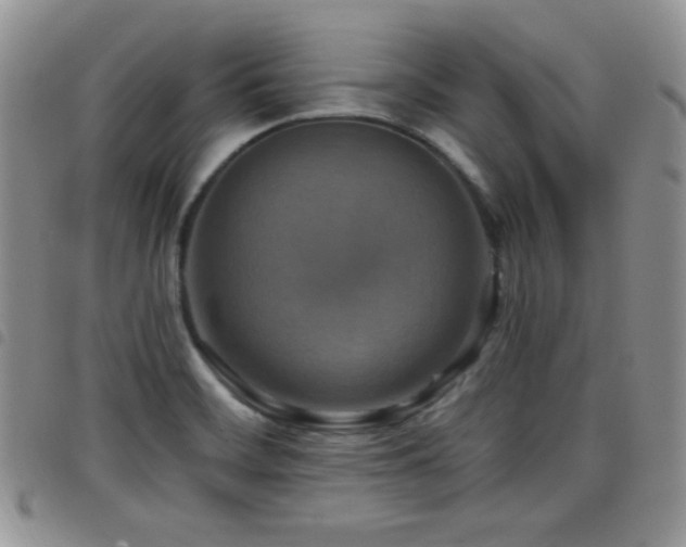 X0000098211468200804241309