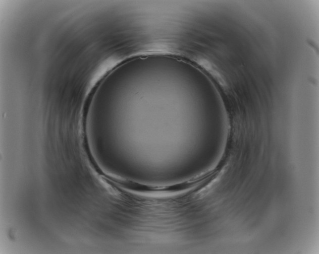 X0000098211469200804241309