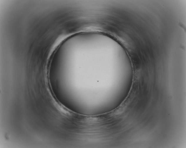 X0000098211470200804241309