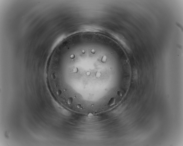 X0000098211471200804241309