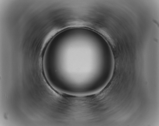 X0000098211472200804241309