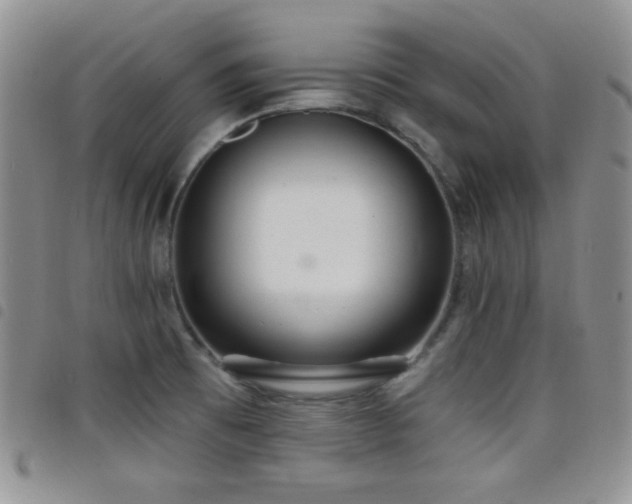 X0000098211473200804241309