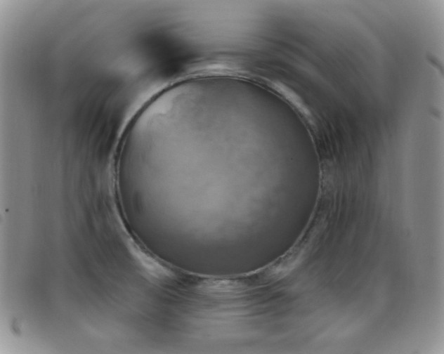 X0000098211474200804241309