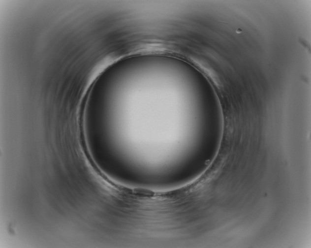 X0000098211475200804241309