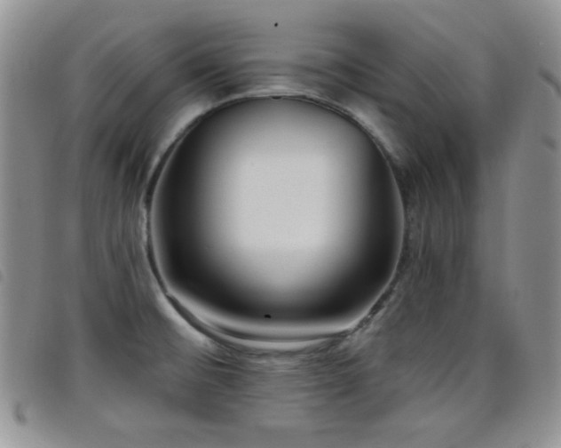 X0000098211476200804241309