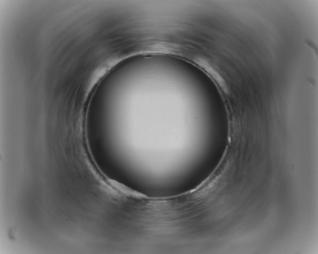 X0000098211477200804241309