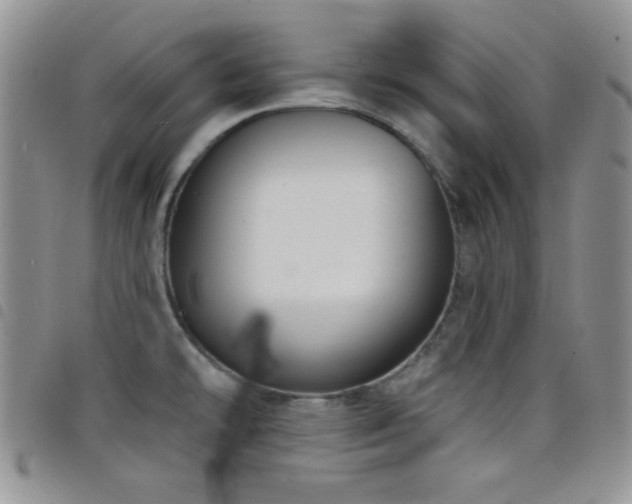 X0000098211478200804241309