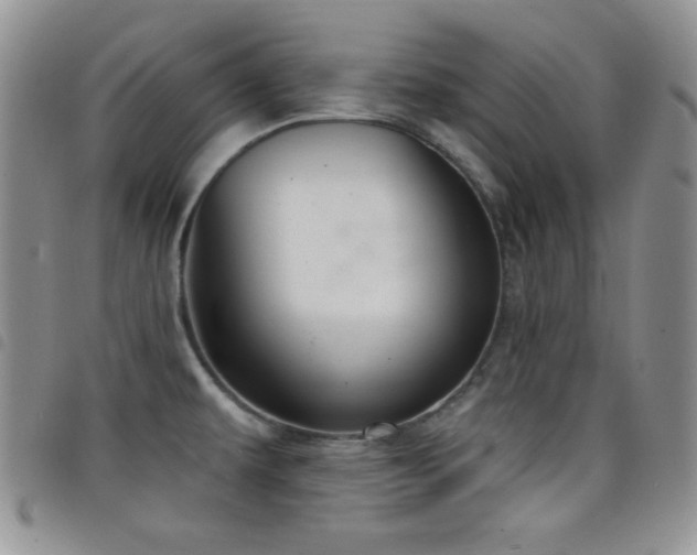 X0000098211479200804241309