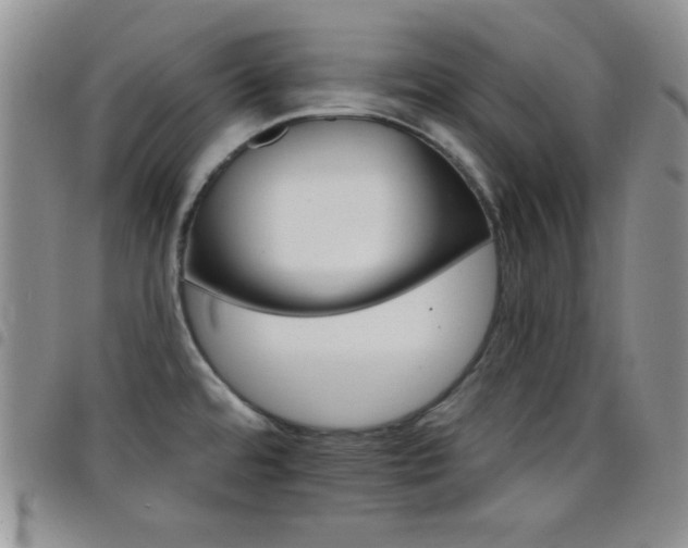 X0000098211480200804241309